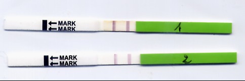 test ovulation bandelette avis test ovulation bandelette avis